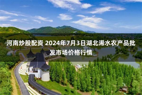 河南炒股配资 2024年7月3日湖北浠水农产品批发市场价格行情