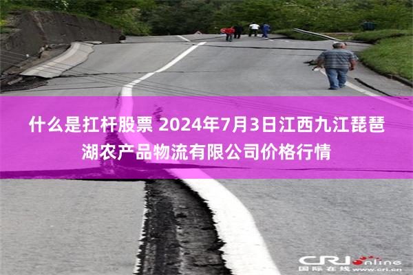 什么是扛杆股票 2024年7月3日江西九江琵琶湖农产品物流有限公司价格行情