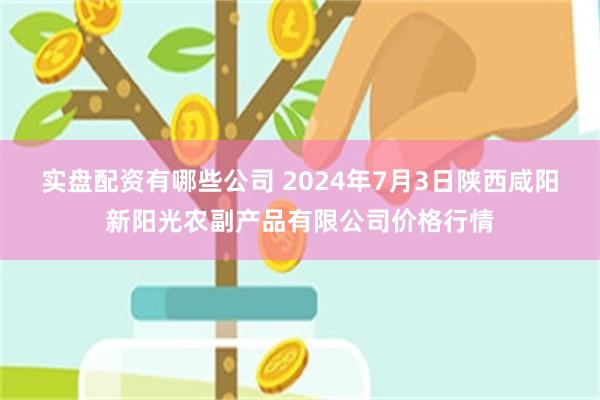 实盘配资有哪些公司 2024年7月3日陕西咸阳新阳光农副产品有限公司价格行情