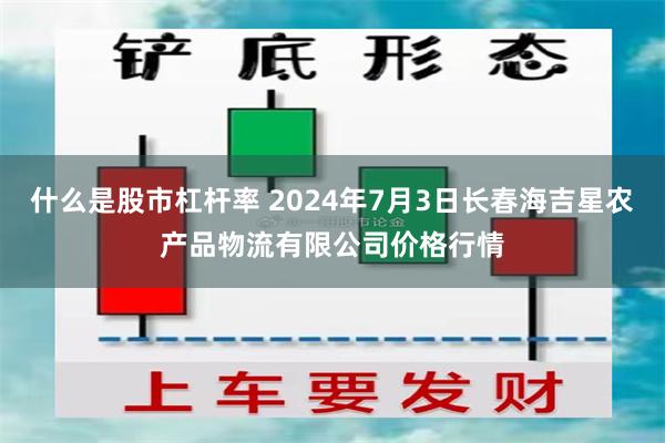 什么是股市杠杆率 2024年7月3日长春海吉星农产品物流有限公司价格行情