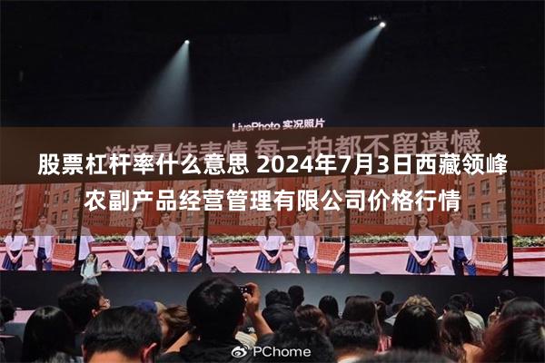 股票杠杆率什么意思 2024年7月3日西藏领峰农副产品经营管理有限公司价格行情