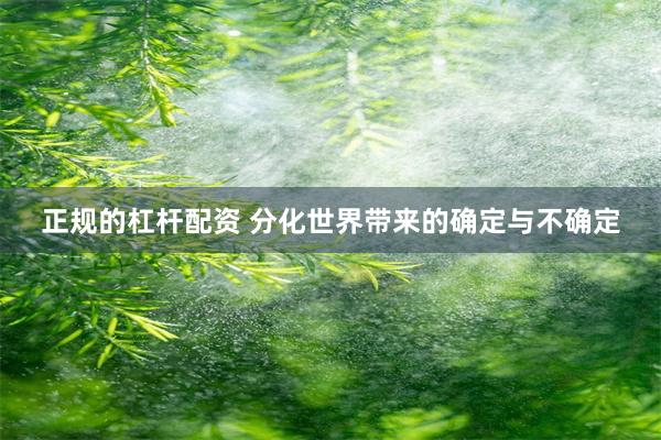 正规的杠杆配资 分化世界带来的确定与不确定