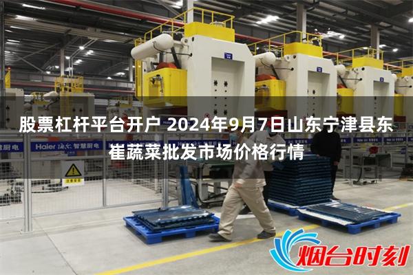 股票杠杆平台开户 2024年9月7日山东宁津县东崔蔬菜批发市场价格行情