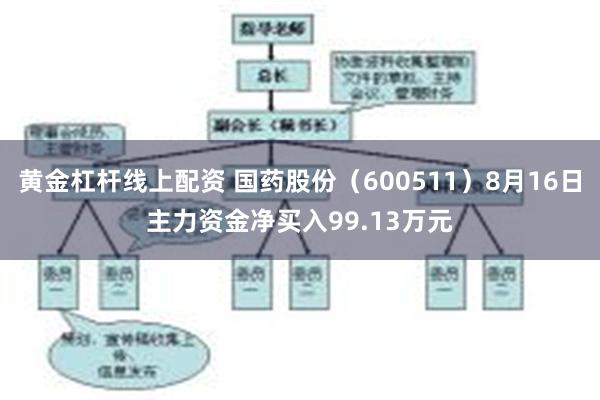 黄金杠杆线上配资 国药股份（600511）8月16日主力资金净买入99.13万元