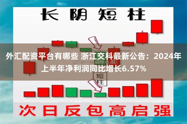 外汇配资平台有哪些 浙江交科最新公告：2024年上半年净利润同比增长6.57%