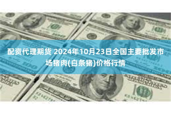 配资代理期货 2024年10月23日全国主要批发市场猪肉(白条猪)价格行情