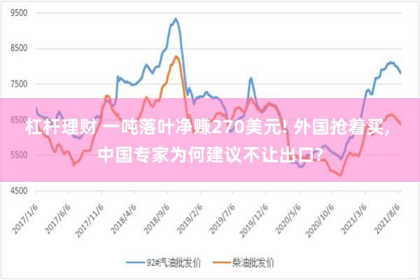 杠杆理财 一吨落叶净赚270美元! 外国抢着买, 中国专家为何建议不让出口?