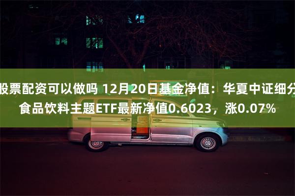 股票配资可以做吗 12月20日基金净值：华夏中证细分食品饮料主题ETF最新净值0.6023，涨0.07%