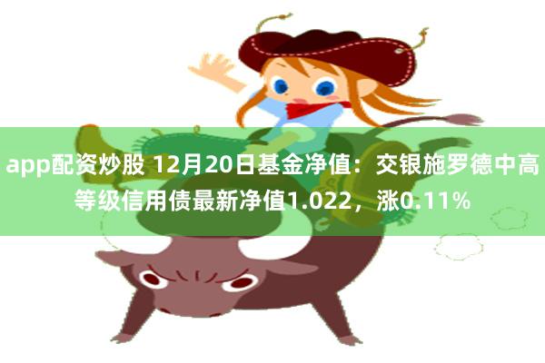 app配资炒股 12月20日基金净值：交银施罗德中高等级信用债最新净值1.022，涨0.11%