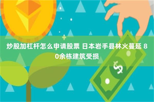 炒股加杠杆怎么申请股票 日本岩手县林火蔓延 80余栋建筑受损