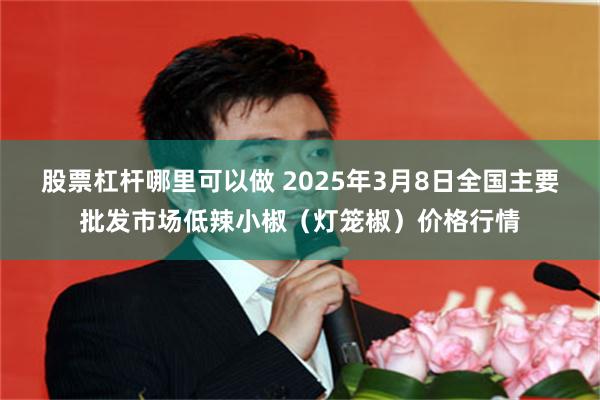 股票杠杆哪里可以做 2025年3月8日全国主要批发市场低辣小椒（灯笼椒）价格行情