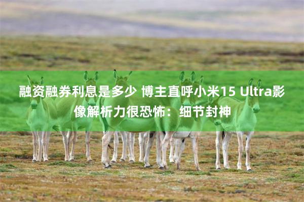 融资融券利息是多少 博主直呼小米15 Ultra影像解析力很恐怖：细节封神